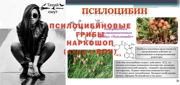 а пвп мука Ессентукская