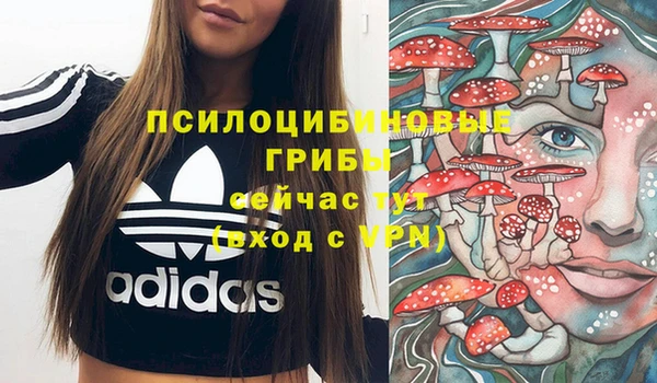 хмурый Надым