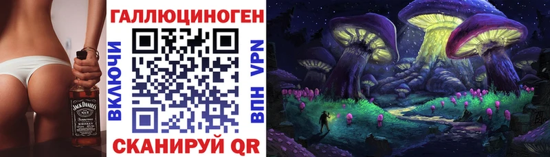 Галлюциногенные грибы Psilocybe  OMG зеркало  Власиха 