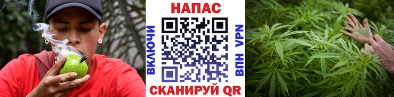 Конопля AK-47  Власиха 